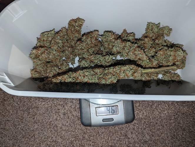 Growreport Bild 19