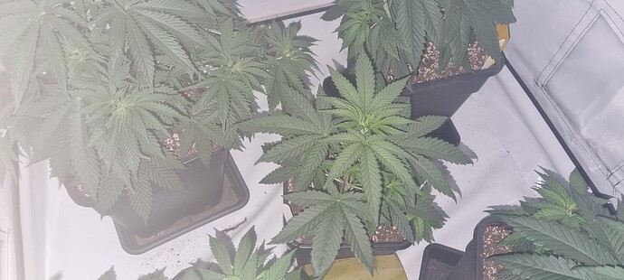 Growreport Bild 21