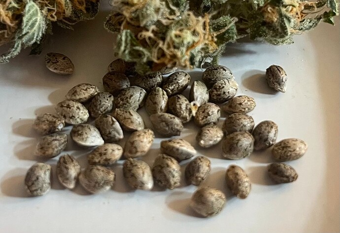 Growreport Bild 11