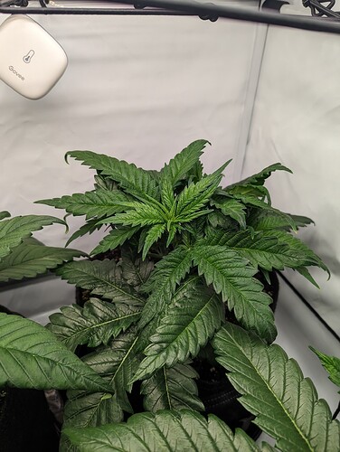 PXL_20231124_140415020