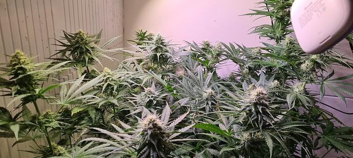 Growreport Bild 11