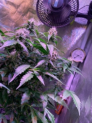 Growreport Bild 12