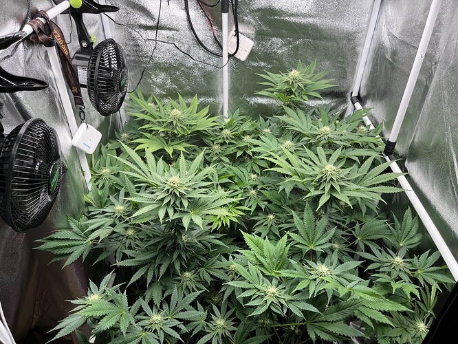 Growreport Bild 3