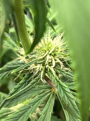 Growreport Bild 10