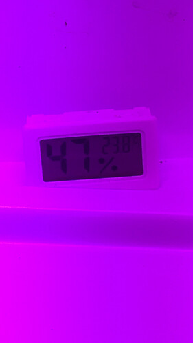 Growreport Bild 19