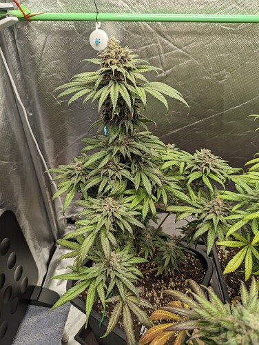 Growreport Bild 14