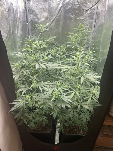 Growreport Bild 2