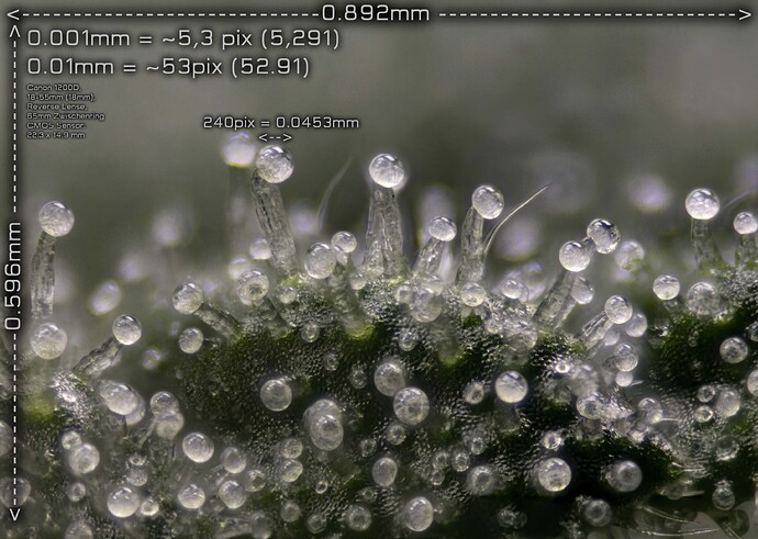 Finish 2251-2279  Rechnung