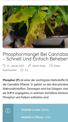 Growreport Bild 2