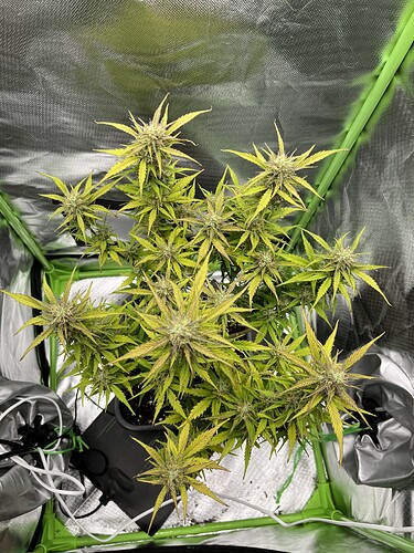 Growreport Bild 5