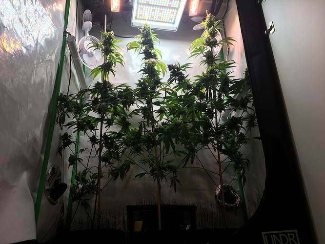 Growreport Bild 15