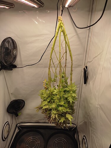 Growreport Bild 15
