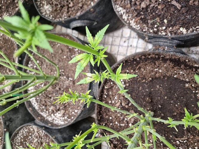 Growreport Bild 25