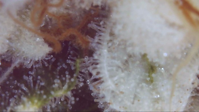 Growreport Bild 17