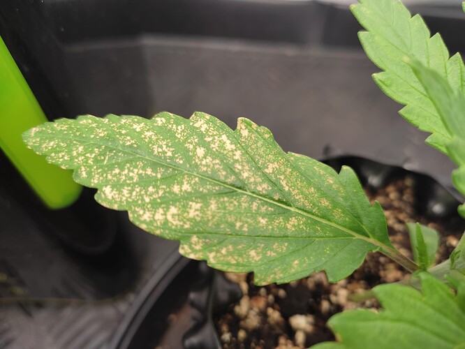 Growreport Bild 8
