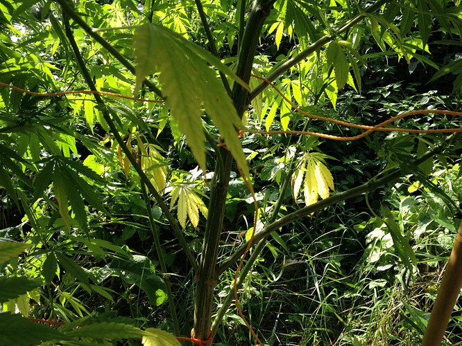 Growreport Bild 9
