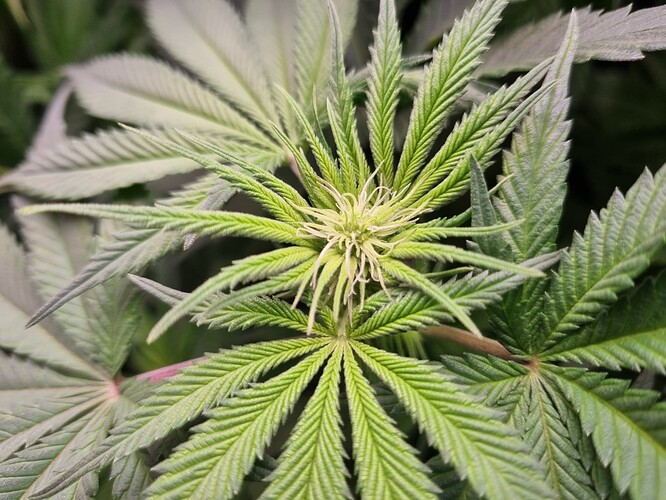 Growreport Bild 3