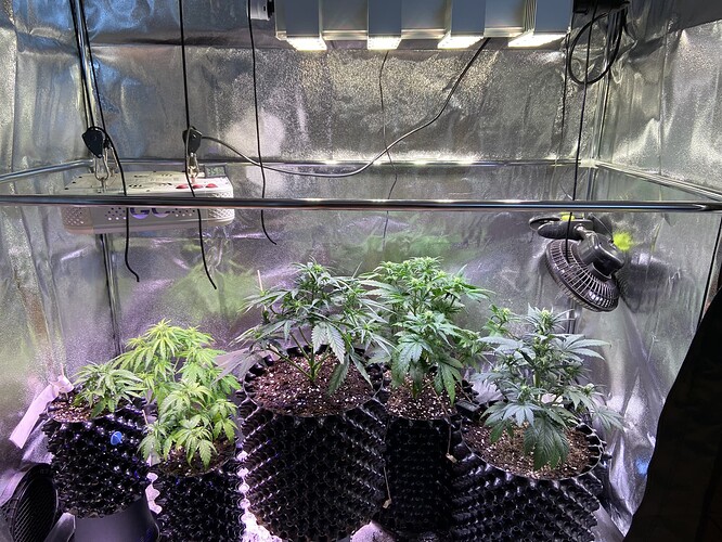 Growreport Bild 10
