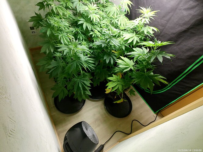 Growreport Bild 34