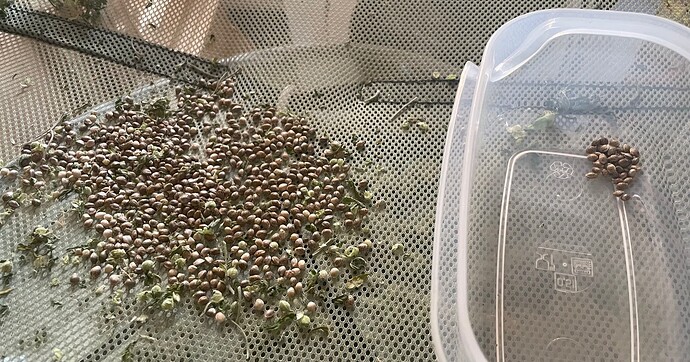 Growreport Bild 13