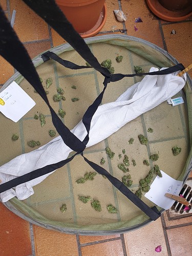 Growreport Bild 8