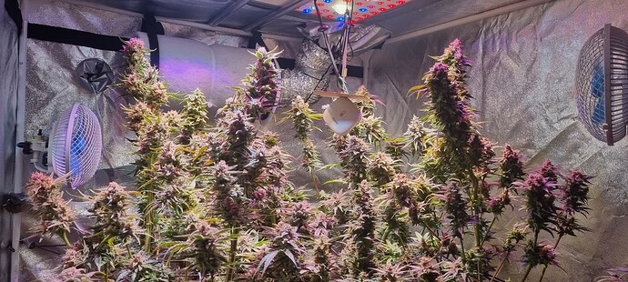 Growreport Bild 15