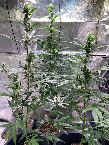 Growreport Bild 10