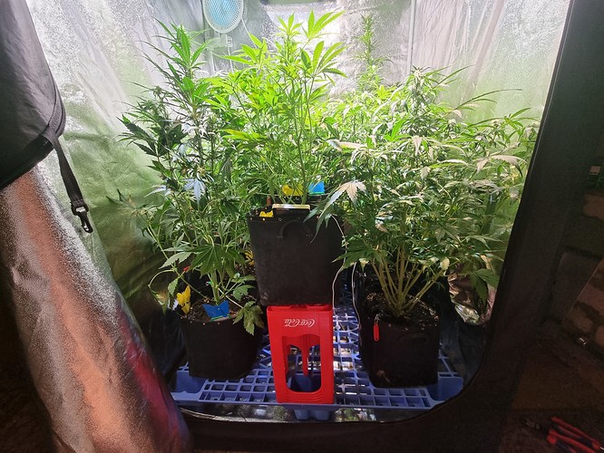 Growreport Bild 9