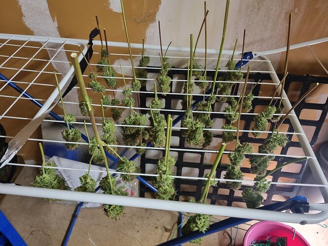 Growreport Bild 10