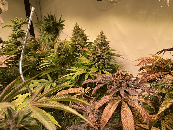Growreport Bild 9