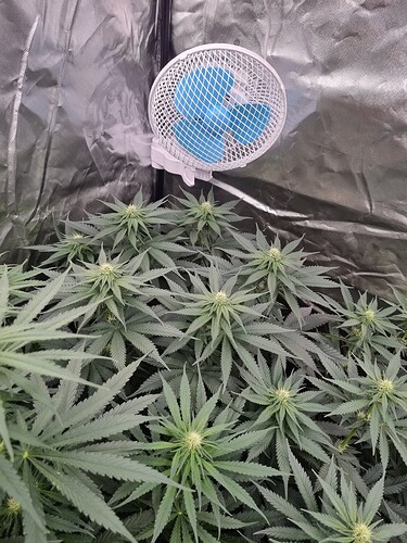 Growreport Bild 22