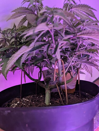 Growreport Bild 10