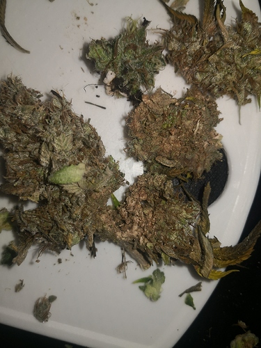 Growreport Bild 11