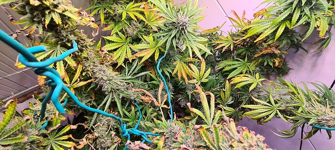 Growreport Bild 22
