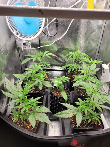 Growreport Bild 15