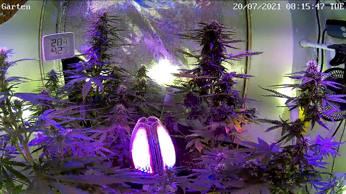 Growreport Bild 16