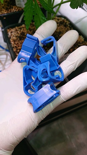 obscura1613844207011