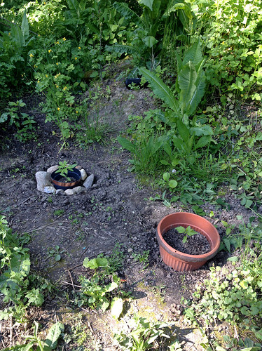Growreport Bild 16