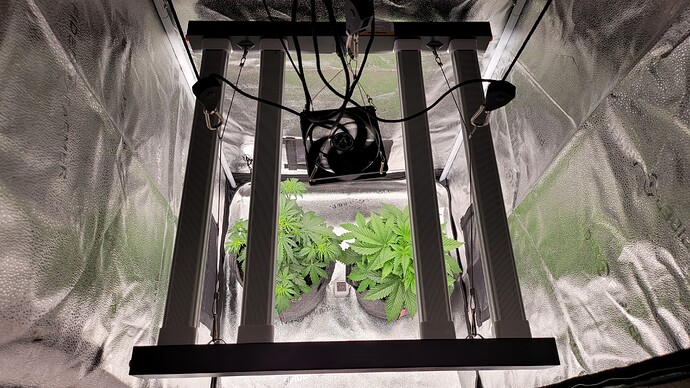 Growreport Bild 6