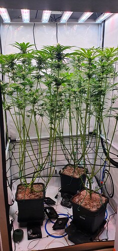 Growreport Bild 2