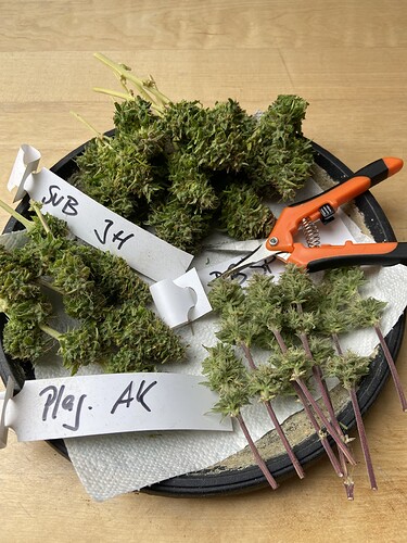 Growreport Bild 10