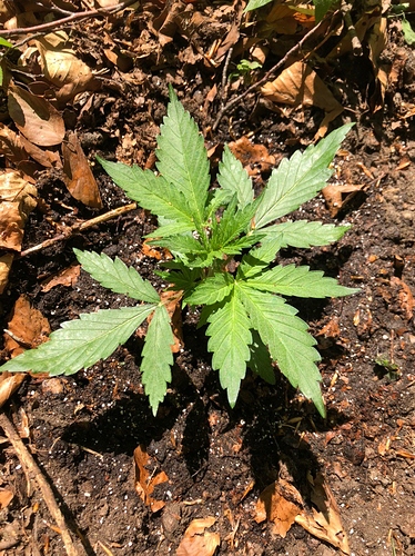 Growreport Bild 10