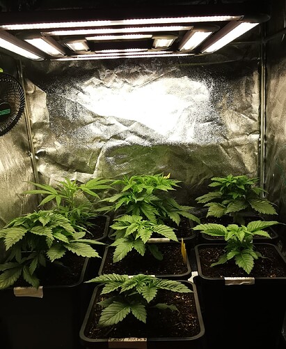 Growreport Bild 22