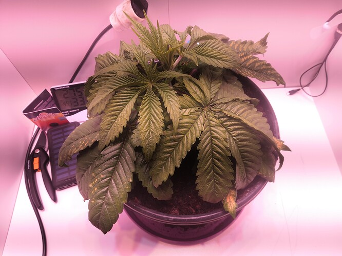 Growreport Bild 5