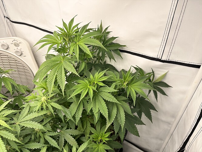 Growreport Bild 9