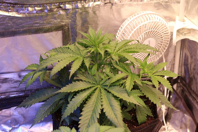 Growreport Bild 22