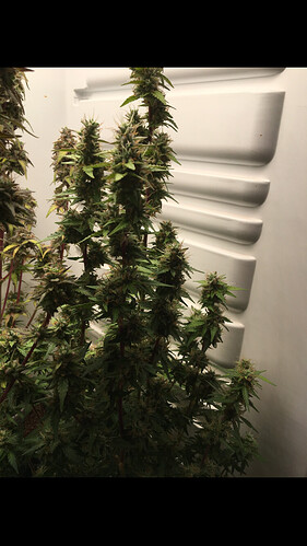Growreport Bild 18