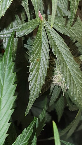 Growreport Bild 9