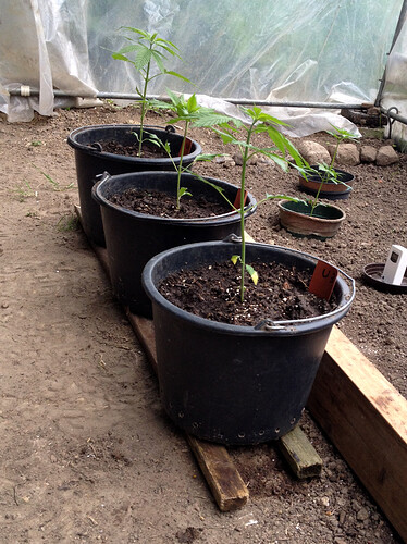 Growreport Bild 17