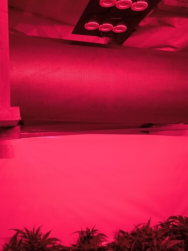Growreport Bild 5